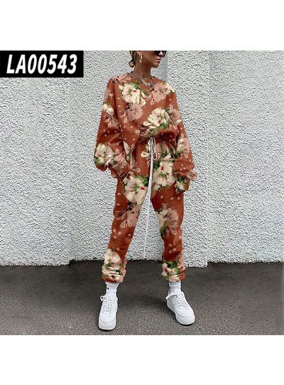Floral Sweatshirt and Joggers Set